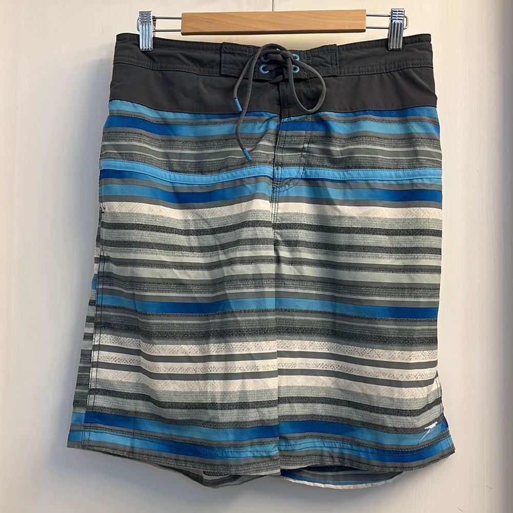 🩳 Speedo Board Shorts